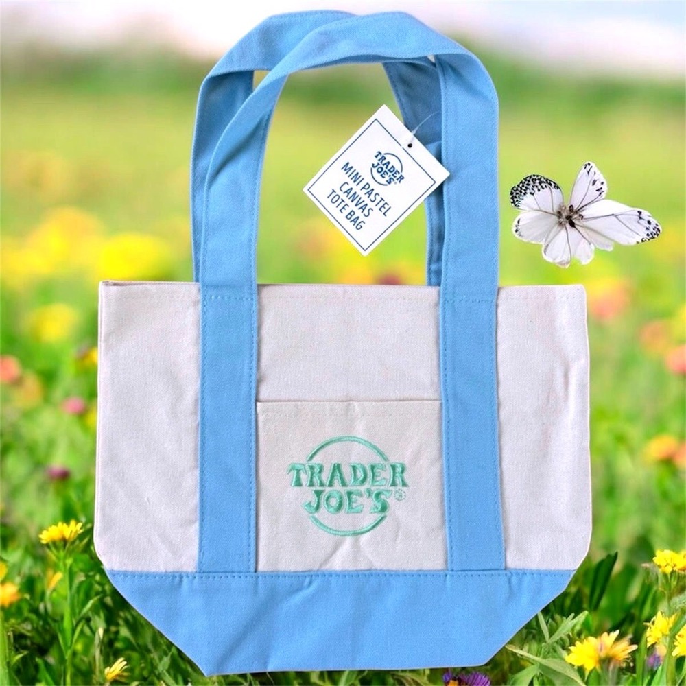 Traders Joe Pastel Mini Canvas - Blue